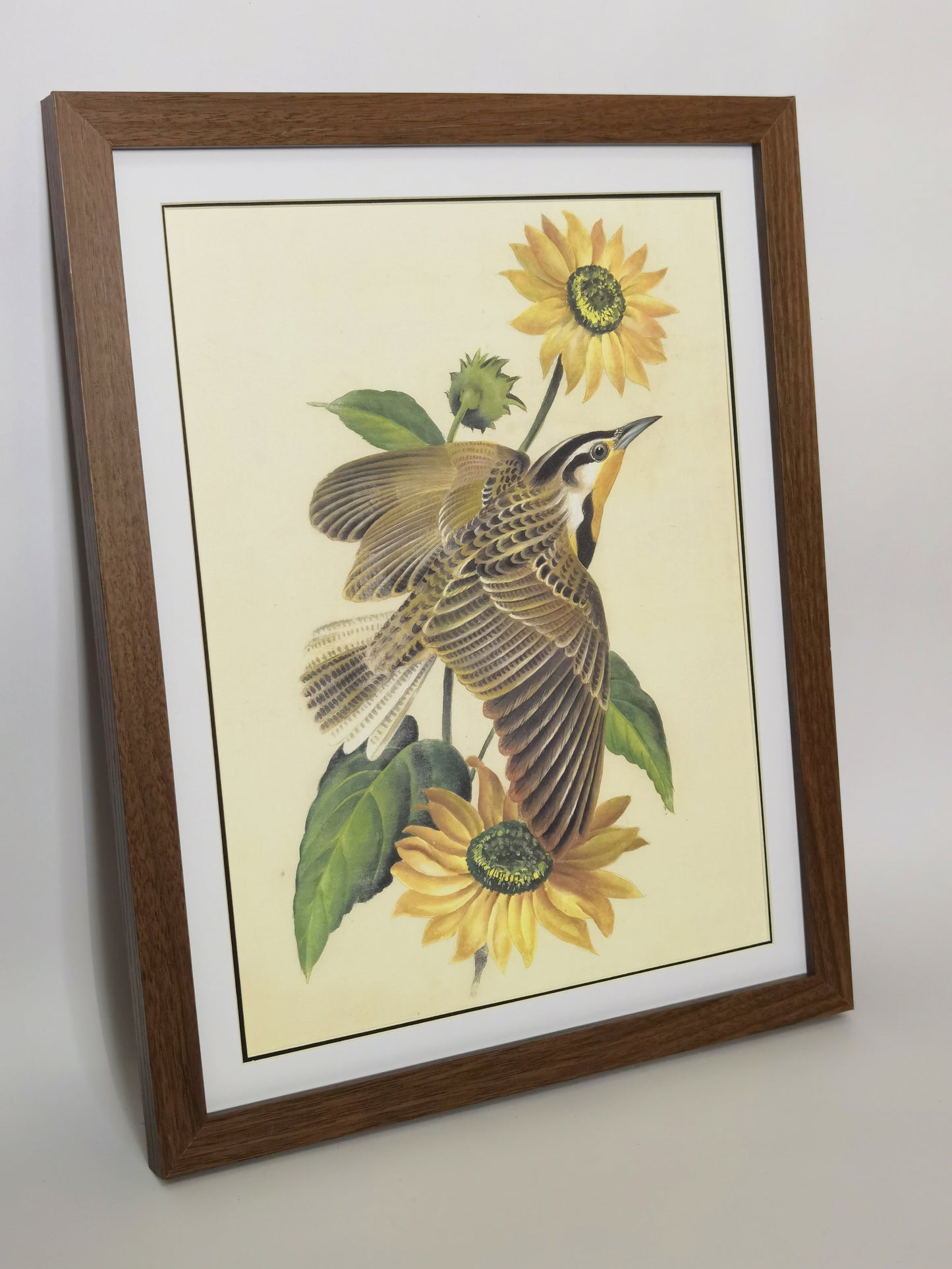 Western Meadowlark Kansas State Bird Handmade Painting Art Solid Wood Framed Poster Picture Print Artwork - Free Shipping