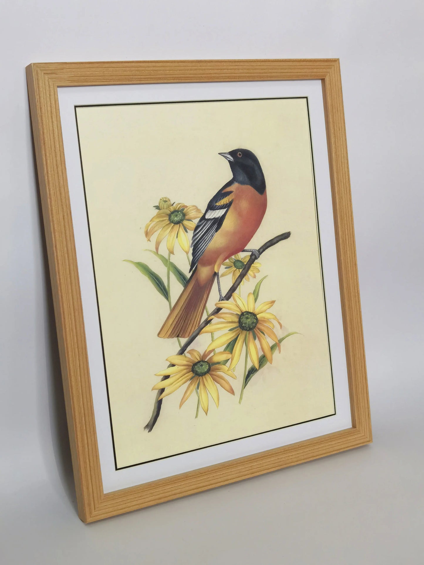 Baltimore Orioles Maryland State Bird Handmade Painting Art Solid Wood Framed Poster Picture Print Artwork GEM ORIGINAL