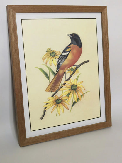 Baltimore Orioles Maryland State Bird Handmade Painting Art Solid Wood Framed Poster Picture Print Artwork GEM ORIGINAL