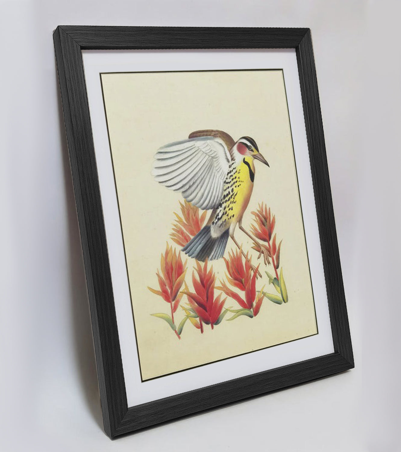 Wyoming Western Meadowlark Hand-painted Art Print - Premium MATT Paper, Natural Wood Frame, Wall & Tabletop Décor, Multiple Sizes & Colors