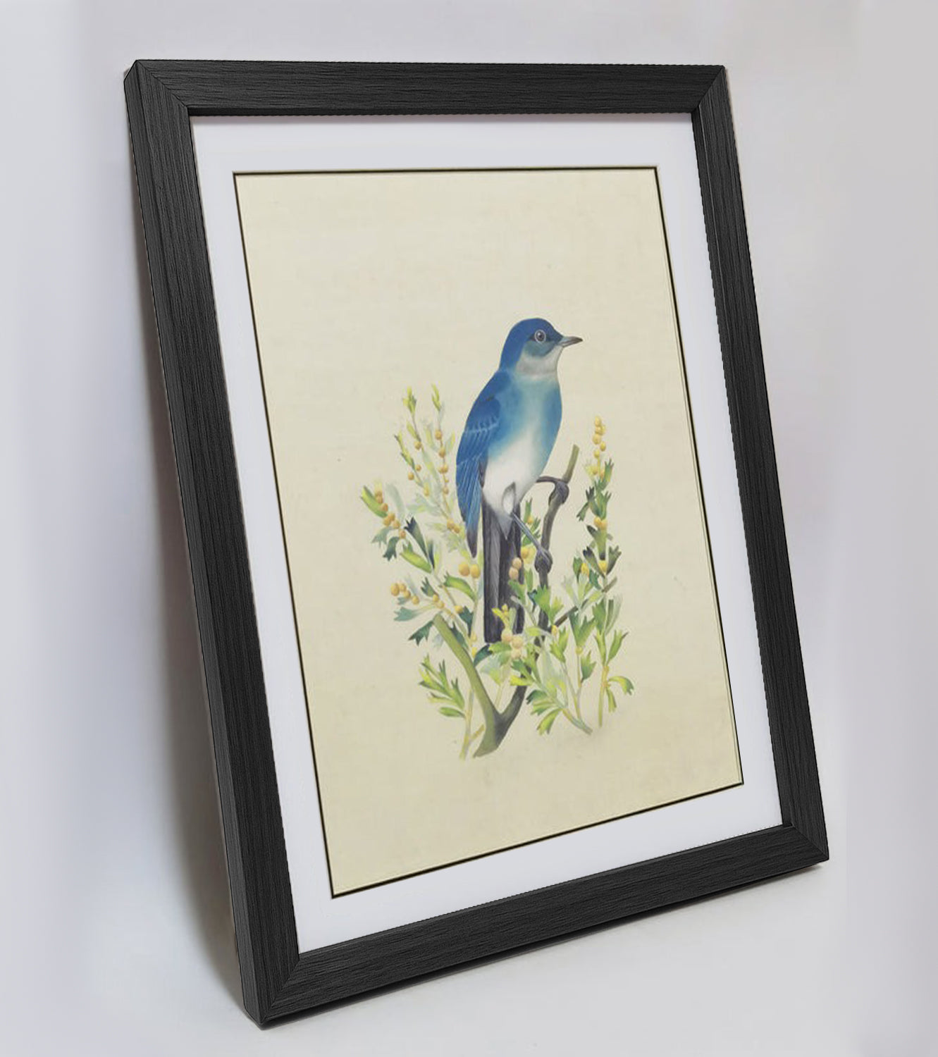 Nevada Mountain Bluebird Hand-painted Art Print - Premium MATT Paper, Natural Wood Frame, Wall & Tabletop Décor, Multiple Sizes & Colors