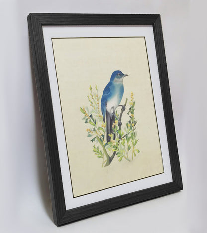 Nevada Mountain Bluebird Hand-painted Art Print - Premium MATT Paper, Natural Wood Frame, Wall & Tabletop Décor, Multiple Sizes & Colors