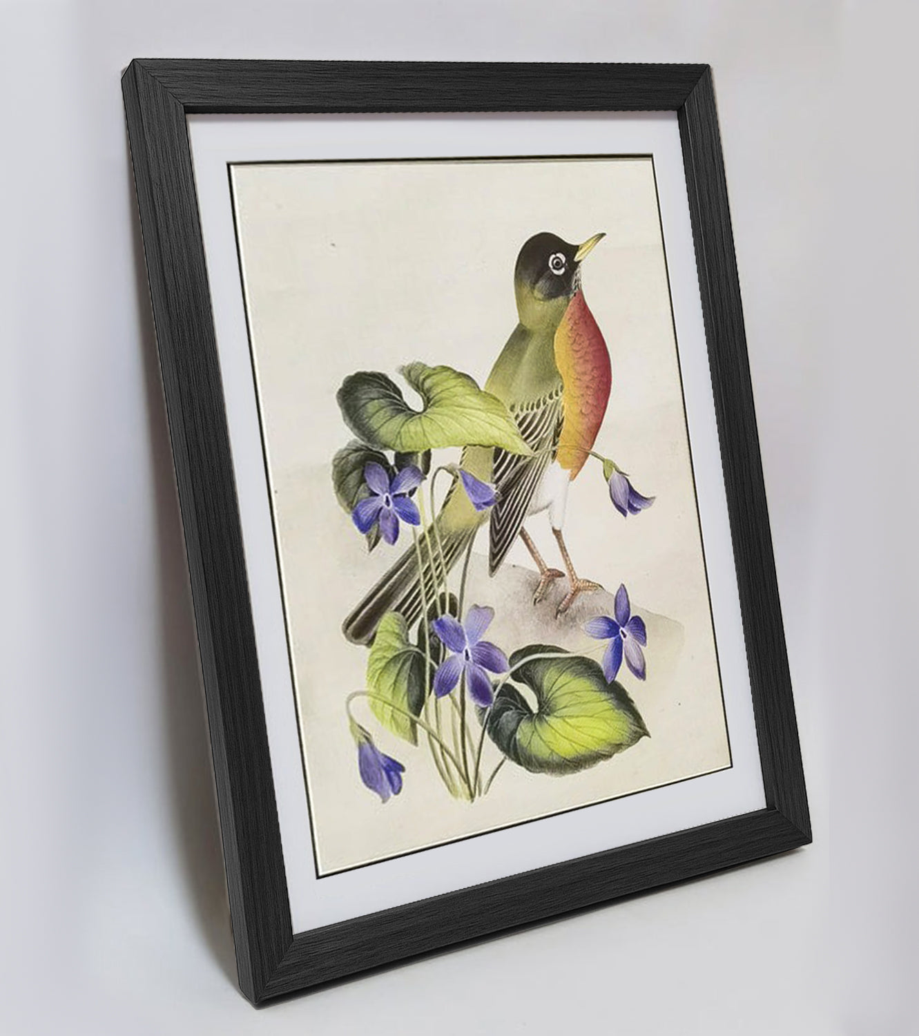 Wisconsin American Robin Hand-painted Art Print - Premium MATT Paper, Natural Wood Frame, Multiple Sizes & Colors, Wall & Tabletop Décor