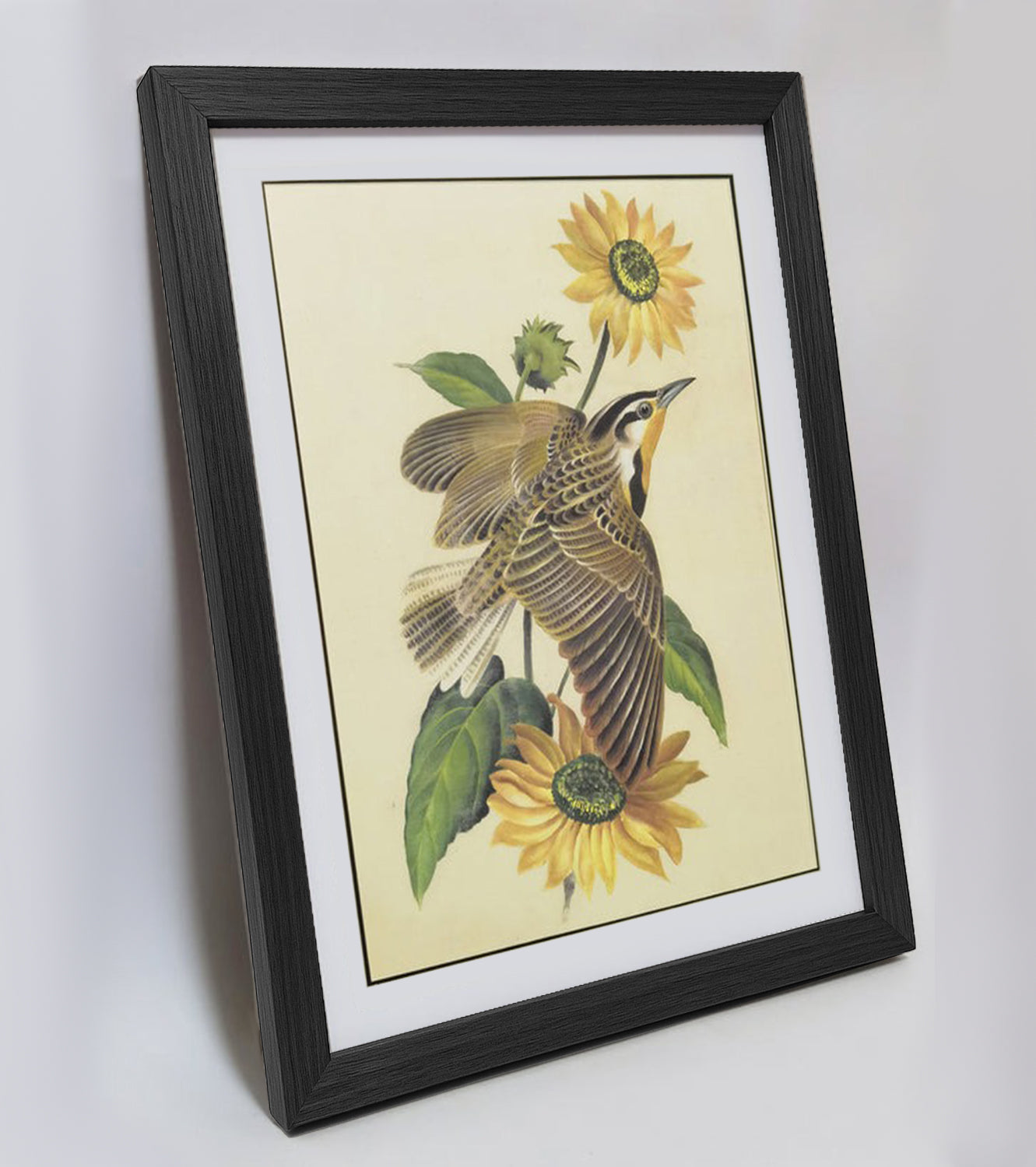 Kansas Western Meadowlark Hand-painted Art Print - Premium MATT Paper, Natural Wood Frame, Multiple Sizes & Colors, Wall & Tabletop Décor