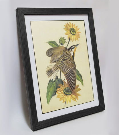 Kansas Western Meadowlark Hand-painted Art Print - Premium MATT Paper, Natural Wood Frame, Multiple Sizes & Colors, Wall & Tabletop Décor