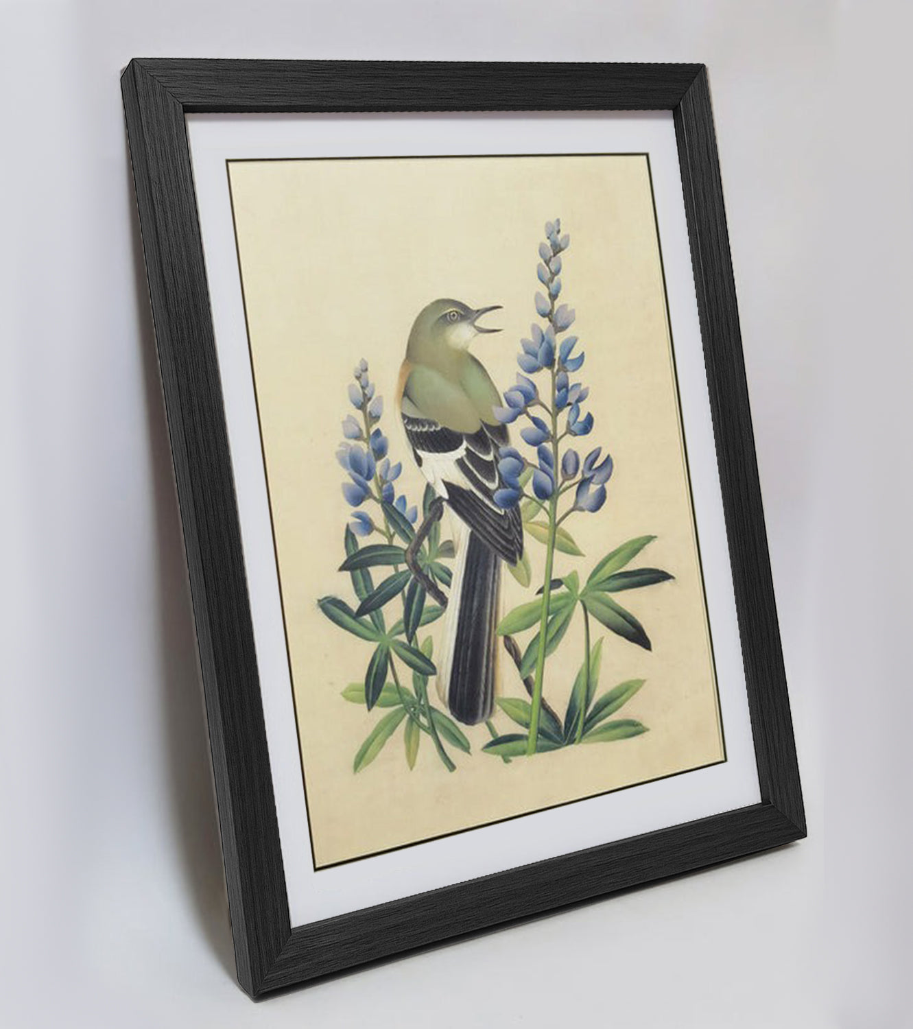 Texas Mockingbird Hand-painted Art Print - Premium MATT Paper, Natural Wood Frame, Multiple Sizes & Colors, Wall & Tabletop Décor