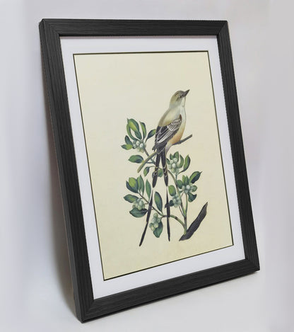 Oklahoma Scissor-tailed Flycatcher Hand-painted Art Print - Premium MATT Paper, Natural Wood Frame, Wall & Tabletop Décor, Multiple Sizes & Colors