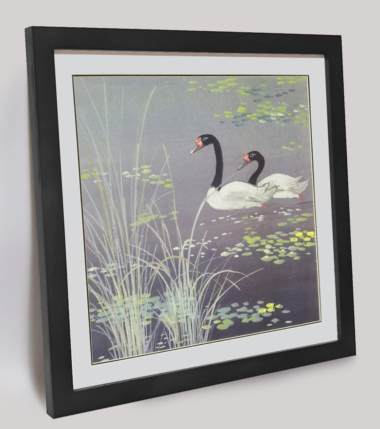 Hand-painted Black-necked Swans in Reed Bed Artwork – Watercolor Technique, Premium MATT Paper, Natural Wood Frame, Multiple Sizes & Colors