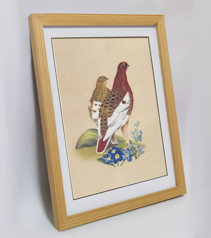 Alaska Willow Ptarmigan Hand-painted Art Print - Premium MATT Paper, Natural Wood Frame, Wall & Tabletop Décor, Multiple Sizes & Colors