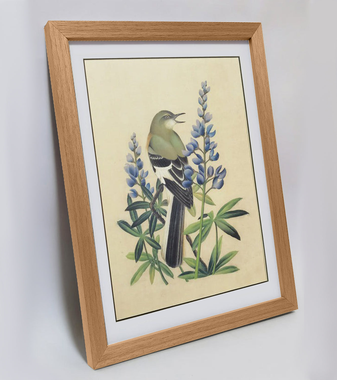 Texas Mockingbird Hand-painted Art Print - Premium MATT Paper, Natural Wood Frame, Multiple Sizes & Colors, Wall & Tabletop Décor
