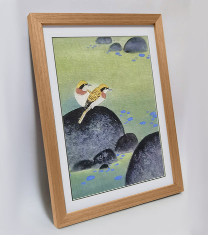 Hand-painted Yellow Warblers on Pond Rocks Artwork – Watercolor Technique, Premium MATT Paper, Natural Wood Frame, Multiple Sizes & Colors