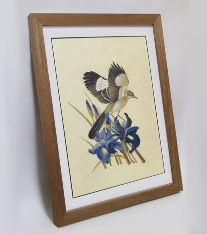 Tennessee Mockingbird Hand-painted Art Print - Premium MATT Paper, Natural Wood Frame, Wall & Tabletop Décor, Multiple Sizes & Colors