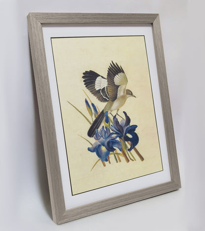 Tennessee Mockingbird Hand-painted Art Print - Premium MATT Paper, Natural Wood Frame, Wall & Tabletop Décor, Multiple Sizes & Colors