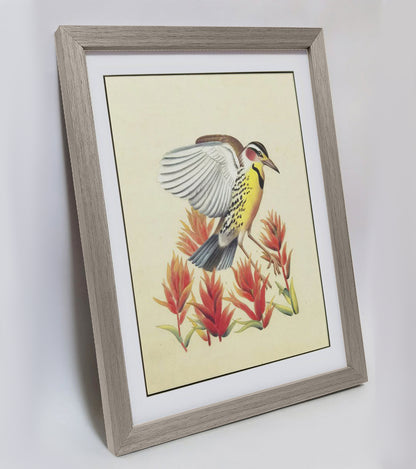 Wyoming Western Meadowlark Hand-painted Art Print - Premium MATT Paper, Natural Wood Frame, Wall & Tabletop Décor, Multiple Sizes & Colors