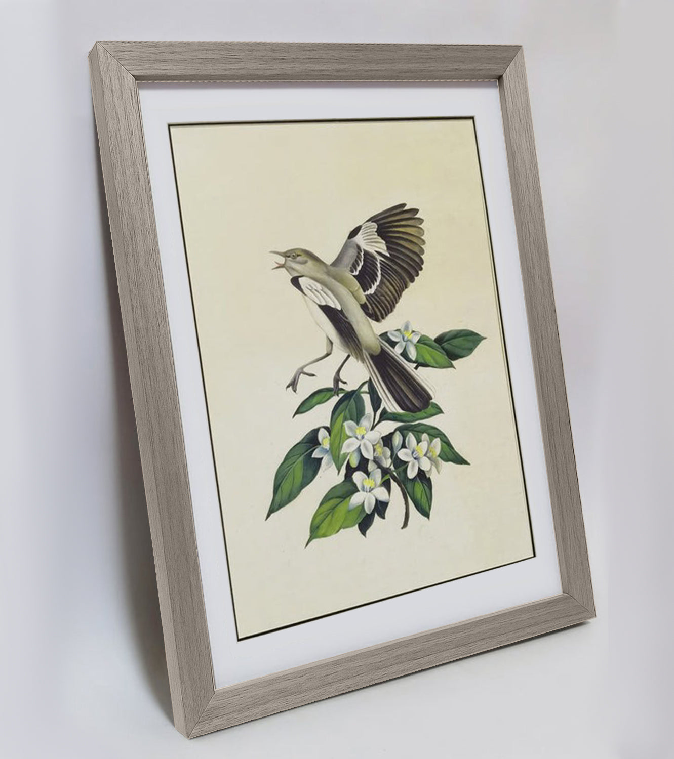 Maine Chickadee Hand-painted Art Print - Premium MATT Paper, Natural Wood Frame, Wall & Tabletop Décor, Multiple Sizes & Colors