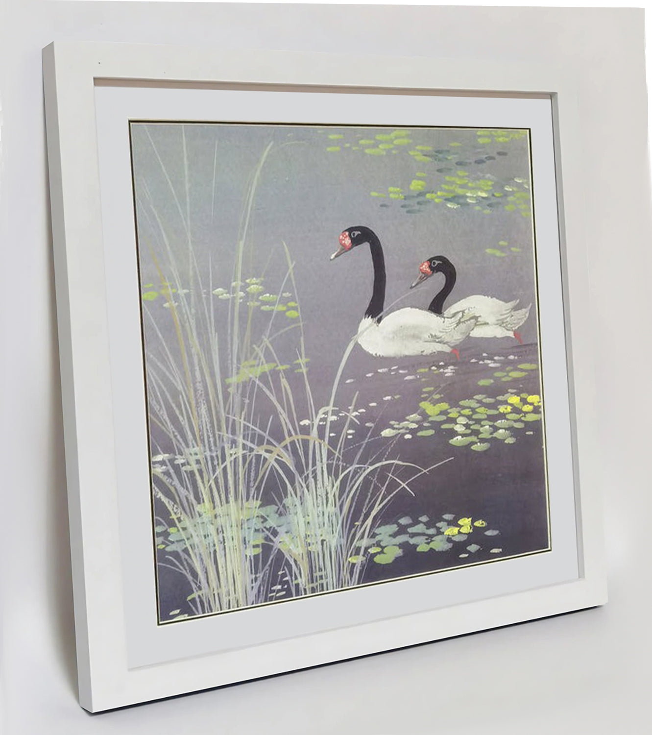 Hand-painted Black-necked Swans in Reed Bed Artwork – Watercolor Technique, Premium MATT Paper, Natural Wood Frame, Multiple Sizes & Colors