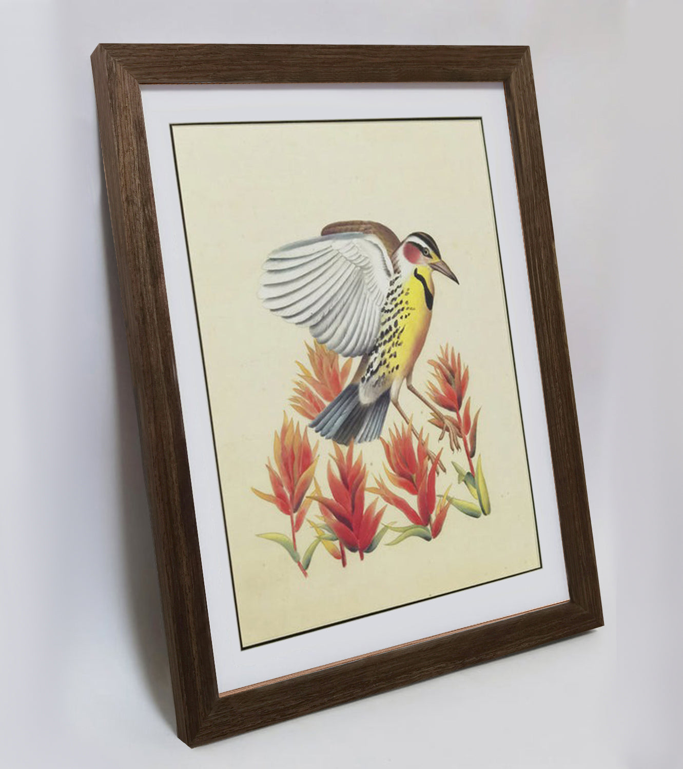 Wyoming Western Meadowlark Hand-painted Art Print - Premium MATT Paper, Natural Wood Frame, Wall & Tabletop Décor, Multiple Sizes & Colors