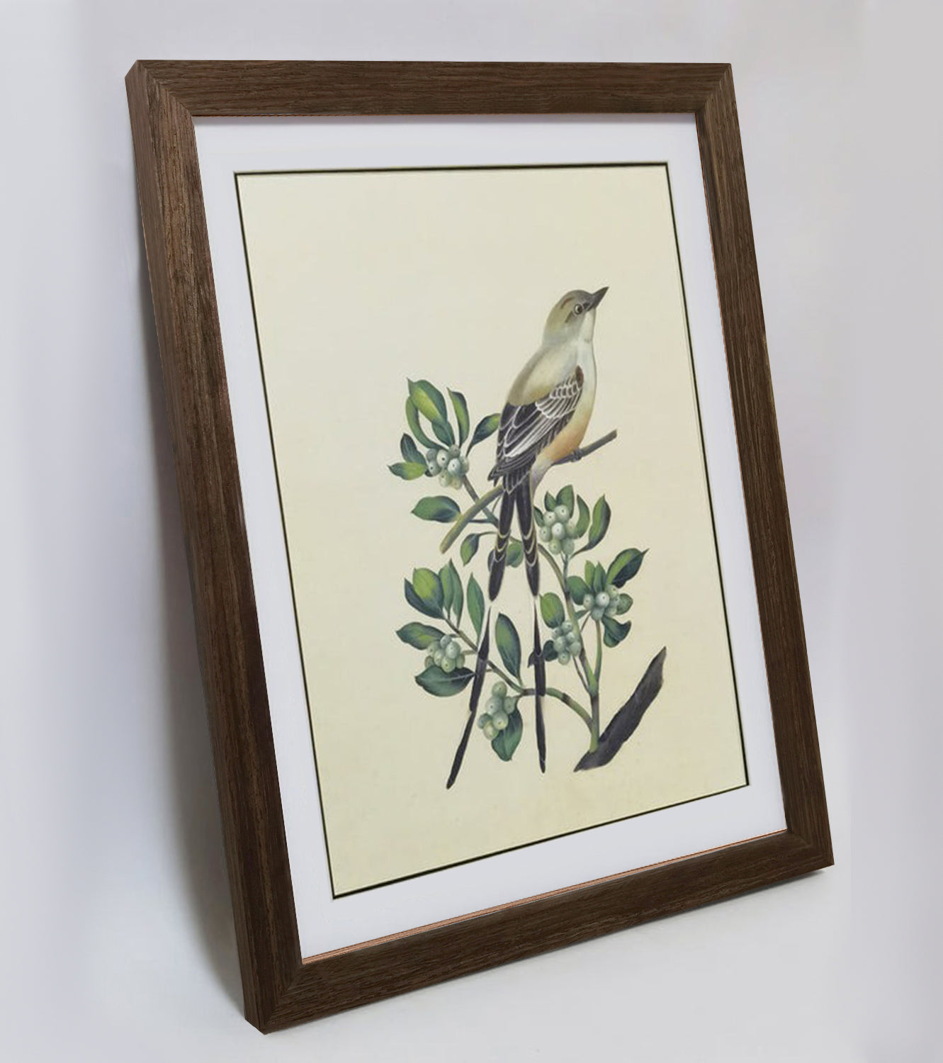 Oklahoma Scissor-tailed Flycatcher Hand-painted Art Print - Premium MATT Paper, Natural Wood Frame, Wall & Tabletop Décor, Multiple Sizes & Colors