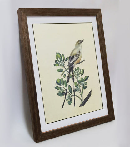 Oklahoma Scissor-tailed Flycatcher Hand-painted Art Print - Premium MATT Paper, Natural Wood Frame, Wall & Tabletop Décor, Multiple Sizes & Colors