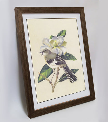 Mississippi Mockingbird Hand-painted Art Print - Premium MATT Paper, Natural Wood Frame, Wall &amp; Tabletop Décor, Multiple Sizes & Colors Available